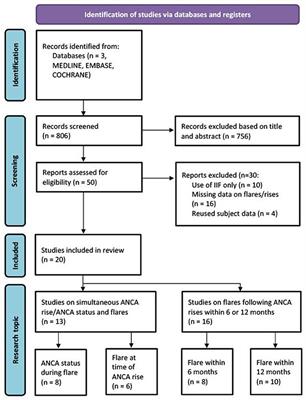 Do Relapses Follow ANCA Rises? A Systematic Review and Meta-Analysis on the Value of Serial ANCA Level Evaluation